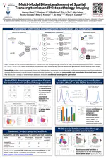 Multi-Modal Disentanglement of Spatial Transcriptomics and Histopathology Imaging
